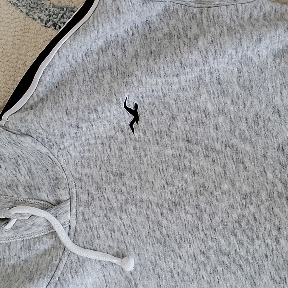 Hollister Cropped Hoodie - Picture 2 of 5